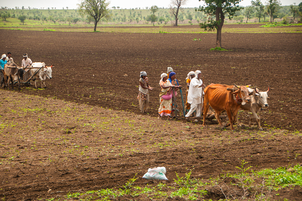 Spice value addition and processing